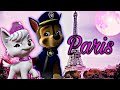 Paris Chase Sweetie Collab With Pawpatrol MyLittlePony Edits 