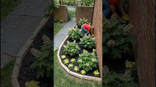 Ultimate Lawn-to-Garden Bed Flip