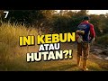 INI KEBUN ATAU HUTAN?! RUMPUT LIAR SETINGGI INI AKHIRNYA DIBERSIHKAN!#7