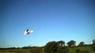 Flight of the Birmingham Roller Pigeons