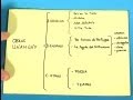 Cómo realizar un esquema