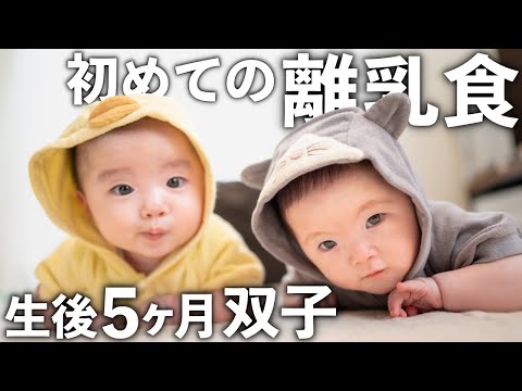 【生後5ヶ月】ふたごの赤ちゃん、初めての離乳食に挑戦!