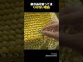 展示品を触ってはいけない理由