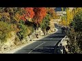 one of the best video autumn
