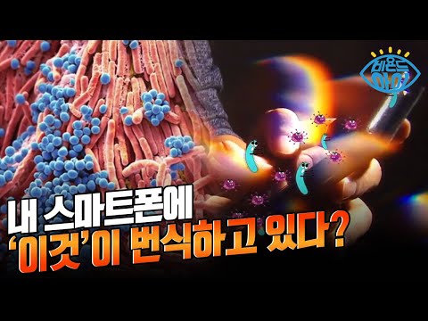 &amp;#39;이것&amp;#39;<strong>에서</strong> 화장실 손잡이 보다 18배 많은 세균 검출 🦠 [#X파일] / YTN <strong>사이언스</strong>