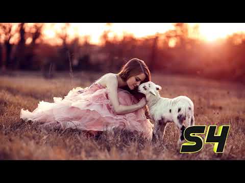 Video Những Bài Hát Tiếng Anh Về Tình Yêu Hay Nhất 2021 -... - youtube