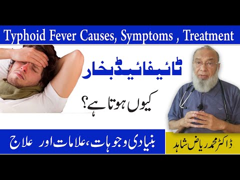 Typhoid Fever Causes,Symptoms And Treatment | Typhoid Ki Alamat Aur ilaj | What is Typhoid Fever