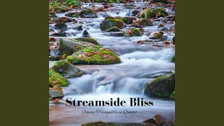 Streamside Peaceful Cadence
