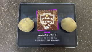 【프로젝트 세카이】 감자로 potato가 되어가를 쳐봤다