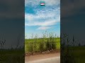طريق السنطة مصر       طنطا