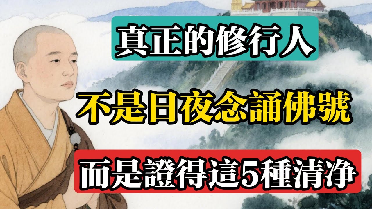 真正的修行人，不是日夜念誦佛號，而是證得這5種清凈！#佛教 #佛法 #佛教玄學 #佛教智慧 #佛學知識 #佛學智慧 #修心修行 #佛教文化 #禪悟人生 #傳統文化