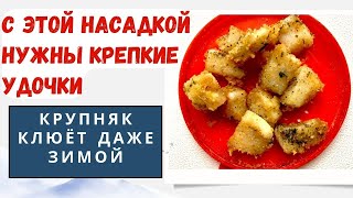 Убойная Насадка, На Которую Клюёт Крупная Рыба, Даже В Глухозимье.