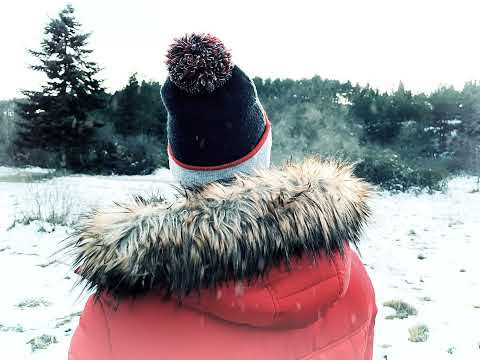 Bagzi - Free