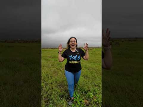 السفرة المجنونة من دبي الى اليمن برا