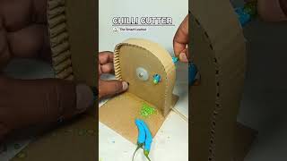 Diy Chilli cutting #chilimachine#dcmotor#diy#project#satisfying#youtubeshorts#shorts