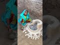 छोटी बहू चोक कोर रही है😂#chhoti Bahu#Balika Vadhu#saas Bahu ki NOKjhok#funnyvideo#short#viral#