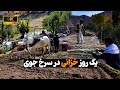 زندگی در قریه چطور میگذرد🤔🤔