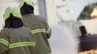 Download lagu Welcome to FRV