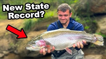 Can I Catch the State Record Rainbow Trout?
