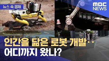 [뉴스 속 경제] 인간을 닮은 로봇 개발‥어디까지 왔나? (2022.10.10/뉴스투데이/MBC)