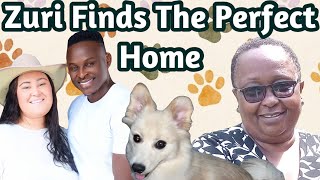 Zuri Finds The Perfect Home | Dog Owner | Vlog | DITL | Puppy | Kenya | Sylvia And Koree Bichanga