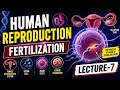 HUMAN REPRODUCTION | FERTILIZATION | LECTURE-7
