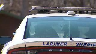 Video Shows Mountain Lion Attacking Deputy In Larimer County