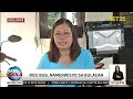 Rice bug, namerwisyo sa Bulacan