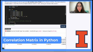 Mastery Platform Walkthrough: Correlation Matrix in Python