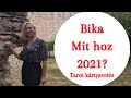 2021- " Ez az év az emberi kapcsolataidról szól "Általanos tarot kártya kivetés bika jegyűek részére