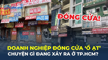 Doanh nghiệp TP.HCM ĐÓNG CỬA 