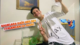 AKVARYUM VLOG (Yeni Balık Alma+ Akvaryum Suyu Değiştirme)