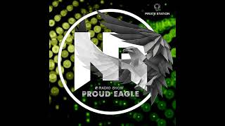 Nelver - Proud Eagle Radio Show #380 [Pirate Station Online] (08-09-2021)