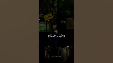 من سوة النساء | بصوت القارئ زين بدور