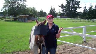 Horse Loading Problems Solved - Part 2