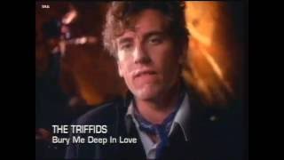 THE TRIFFIDS - Bury Me Deep In Love (1987)