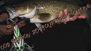 Murray Cod season 2019 - our first attempt
