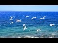 Musique Relaxante - Vidéo HD - Paysages, Nature... Relaxation