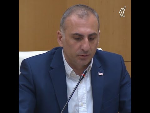 „რიჟვაძეს საჯარო შენიშვნა რატომ არ უთხარით?“ — ელისაშვილი ღარიბაშვილს