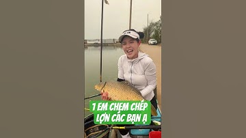 em cần thủ đi câu cá chem chép hồ dịch vụ được hơn 1 tạ cá và cái kết  #fishing #cauca #short