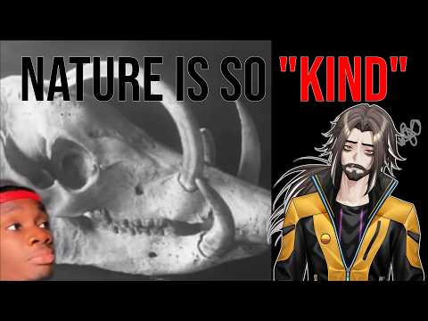Nature makes WEIRD choices! | First time Casual Geographic reaction!