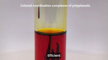 Natural Polyphenol Powered Solar Desalination - Team HydroFrontiers