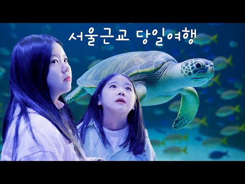 Half-day educational trip with children, just an hour from Seoul | Sihwa Lake Eco School 🐟 Siheun...