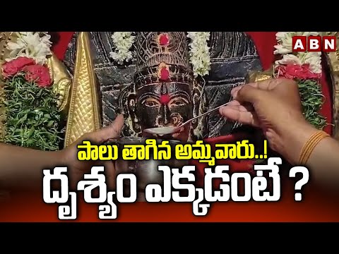 పాలు తాగిన అమ్మవారు..!! దృశ్యం ఎక్కడంటే ? Pochamma Temple | ABN Telugu - ABNTELUGUTV