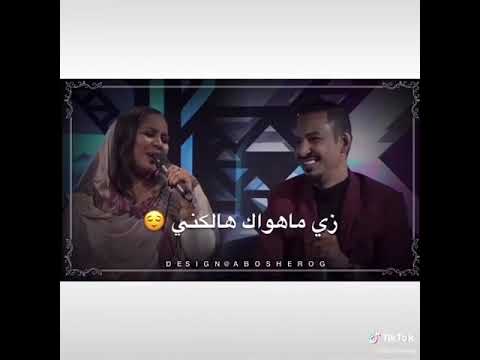 هدي عربي طه