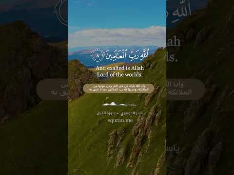 يا موسى إنه أنا الله سورة النمل 8 9 الشيخ ياسر الدوسري