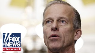 Senate Republicans speak after electing Thune as leader