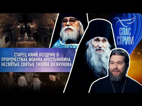 СТАРЕЦ ИЛИЙ НОЗДРИН О ПРОРОЧЕСТВАХ ИОАННА КРЕСТЬЯНКИНА. НЕСВЯТЫЕ СВЯТЫЕ ТИХОНА ШЕВКУНОВА