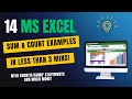 MS Excel Masterclass: 14 Quick Examples for COUNT AND SUM Functions