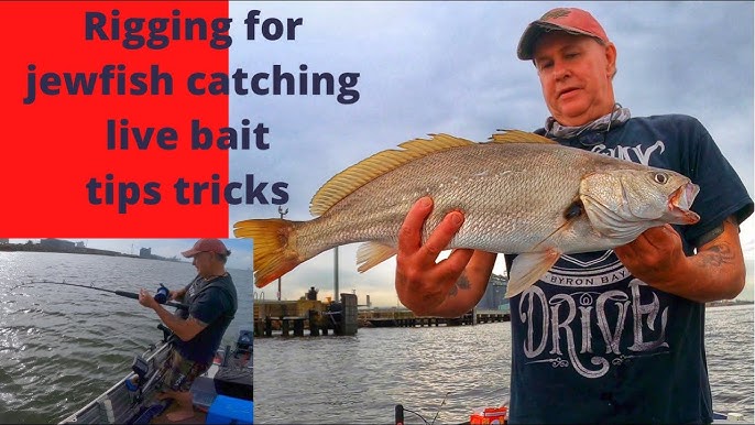 Using circle hooks for Jewfish, tips and rigging 